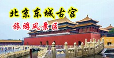 草b高清中国北京-东城古宫旅游风景区