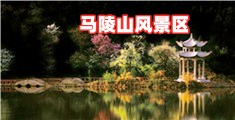 骚屄免费视频