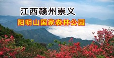 大白逼操大白逼